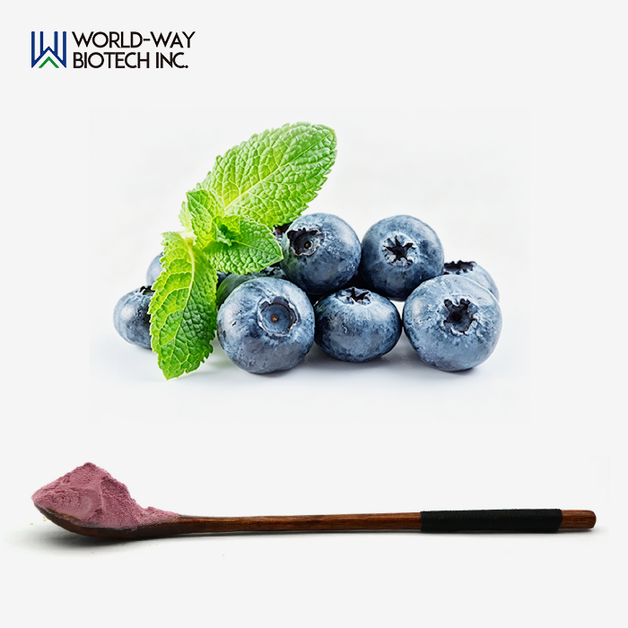 Vaccinium Uliginosum Extract Vaccinium Uliginosum Extract